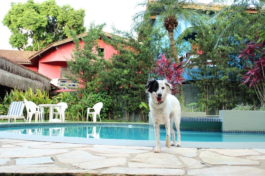 Pousada North Shore Maresias - 2 Quadras Da Praia - Casas De 2 Quartos - 80 M2 -2 Banheiros -Piscina Sauna - Estacion-Churrasq Privativa -Wifi Animais De Peq Porte Roupa De Cama E Banho Esterno foto